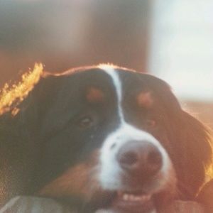 Meet your Posher, Jeffrey